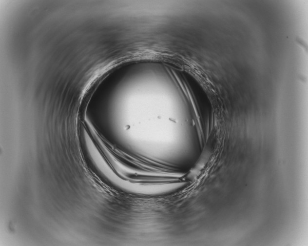 X0000097000244200802221527