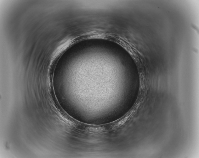 X0000097000245200802221527