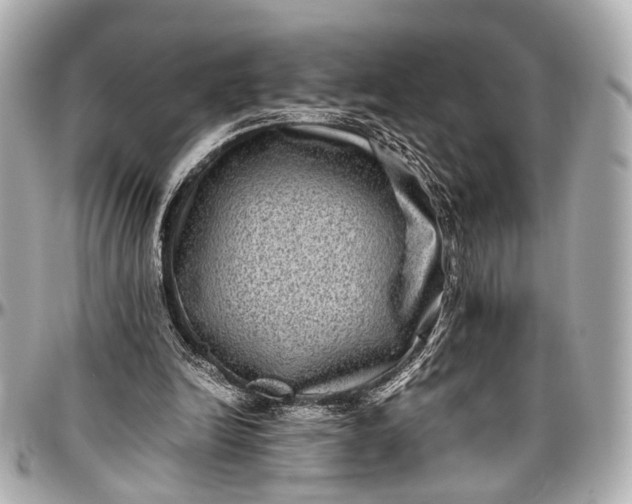 X0000097000246200802221527