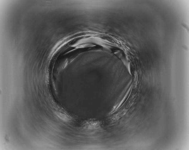 X0000097000247200802221527