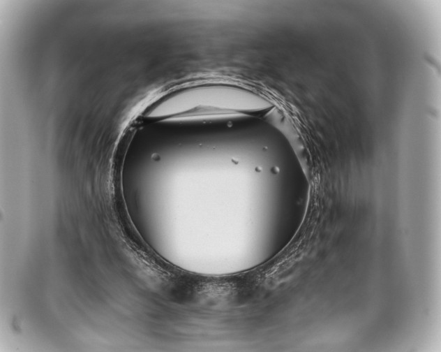 X0000097000248200802221527