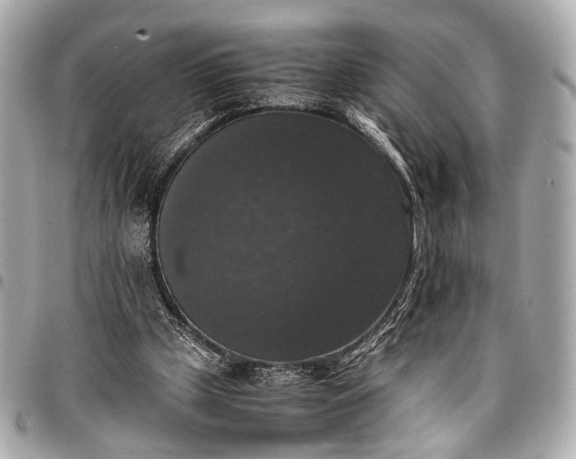 X0000097000249200802221527