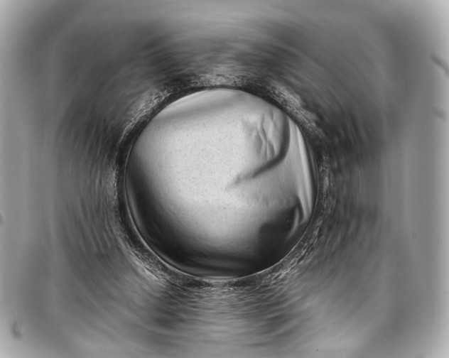 X0000097000250200802221527