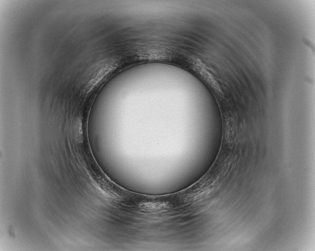 X0000097000251200802221527