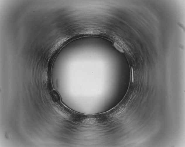 X0000097000252200802221527