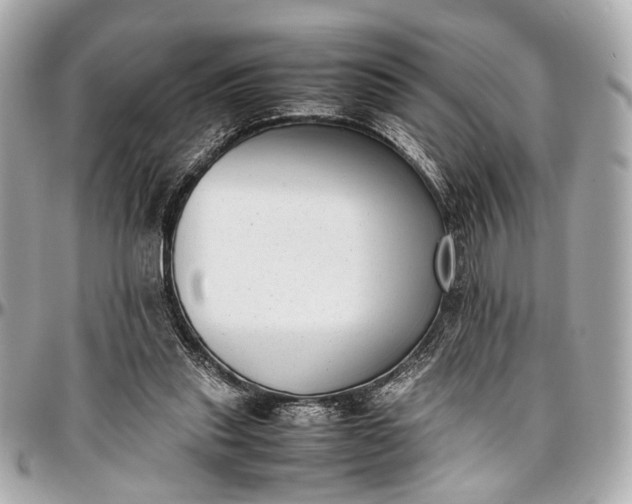 X0000097000253200802221527