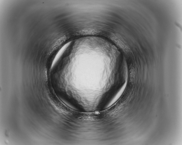 X0000097000254200802221527