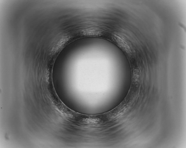 X0000097000255200802221527