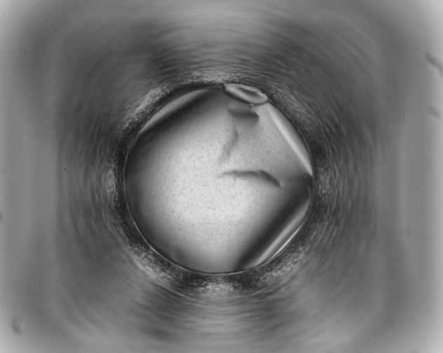 X0000097000256200802221527