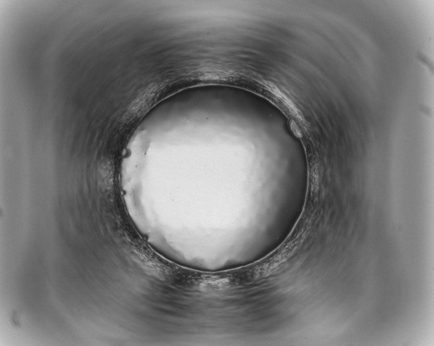 X0000097000257200802221527