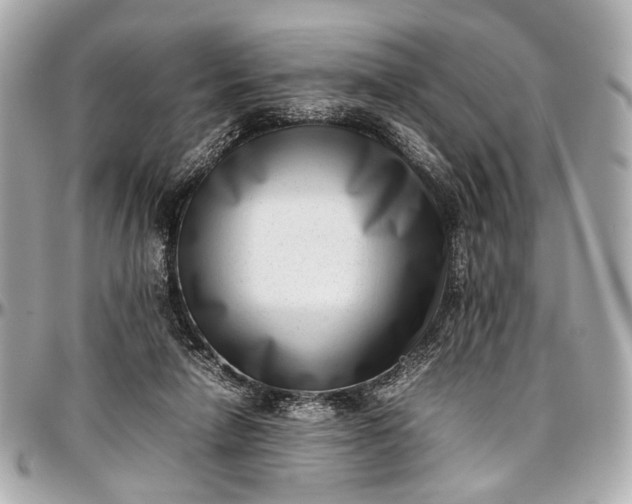 X0000097000258200802221527