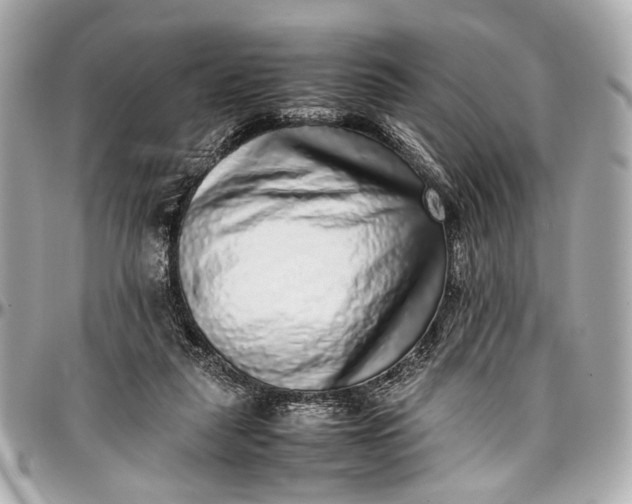 X0000097000259200802221527