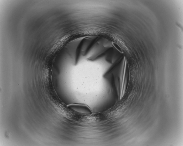 X0000097000260200802221527