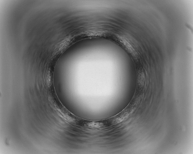 X0000097000261200802221527