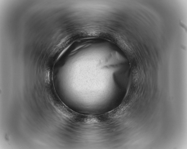 X0000097000262200802221527