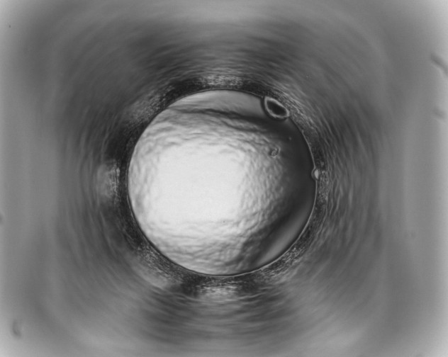 X0000097000263200802221527