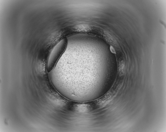 X0000097000268200802221528