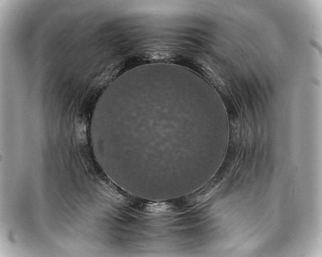 X0000097000269200802221528