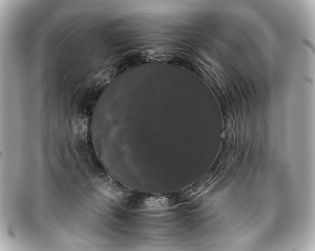 X0000097000271200802221528