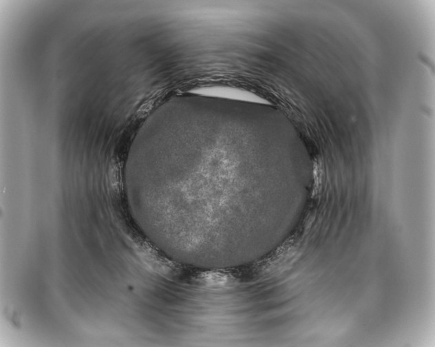 X0000097000272200802221528