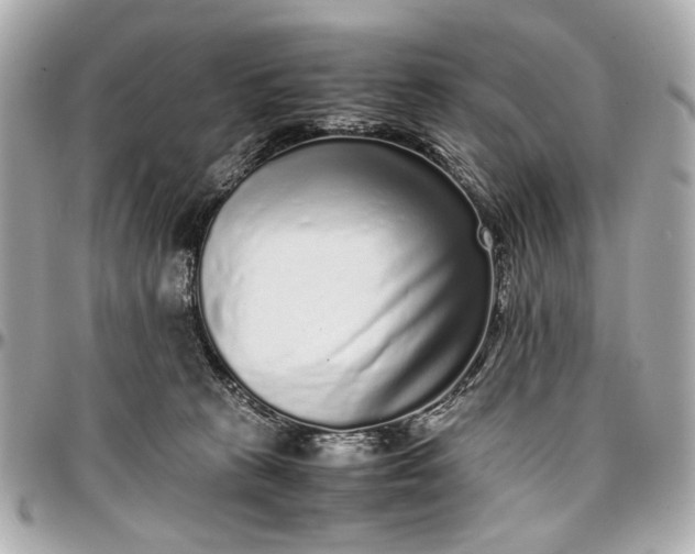 X0000097000273200802221528