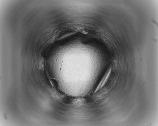 X0000097000274200802221528