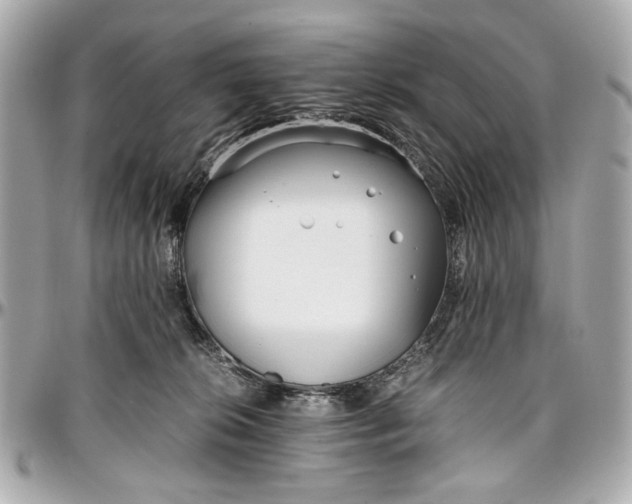 X0000097000276200802221528