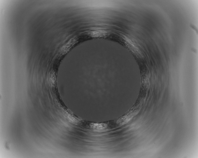 X0000097000277200802221528