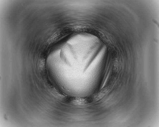 X0000097000278200802221528