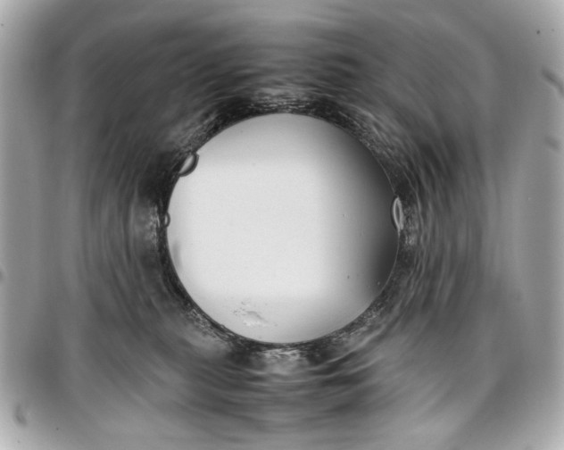 X0000097000279200802221528