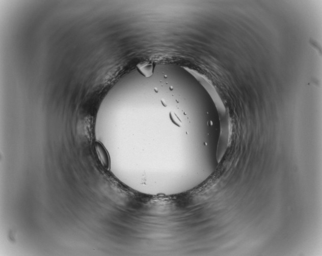 X0000097000280200802221528