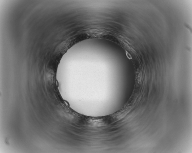 X0000097000283200802221528