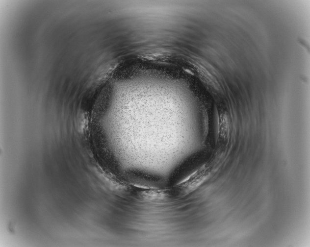 X0000097000284200802221528