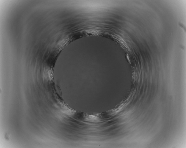 X0000097000285200802221528