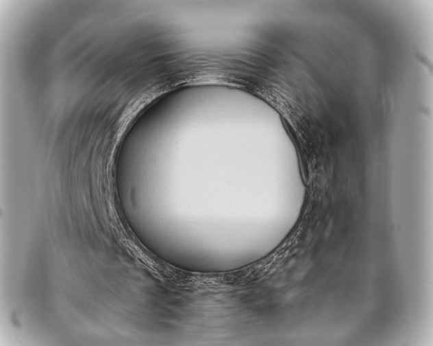 X0000097000289200802221527