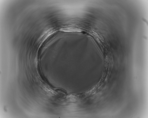 X0000097000290200802221527