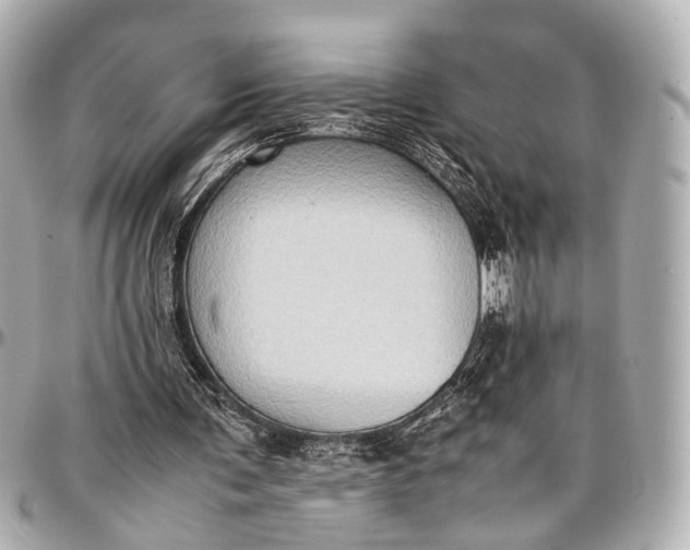 X0000097000291200802221527