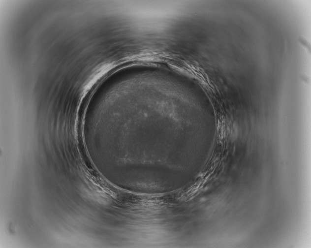 X0000097000292200802221527