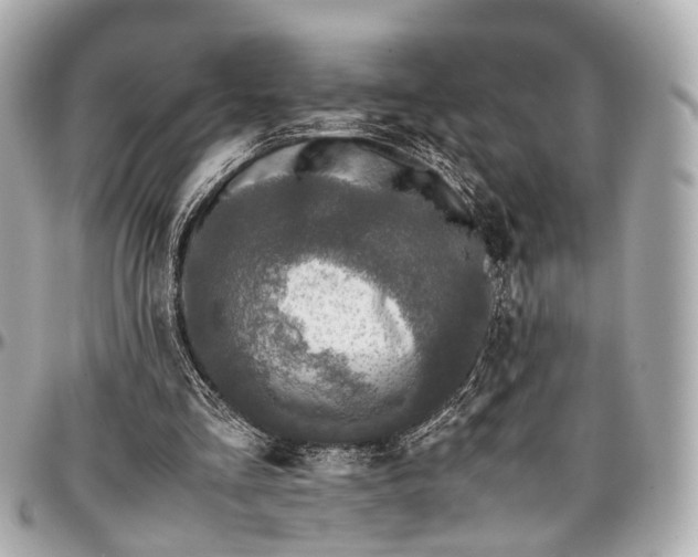 X0000097000293200802221527