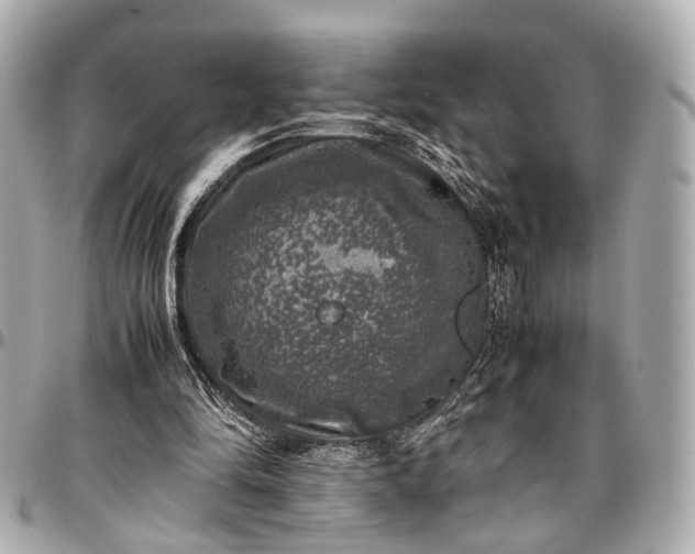 X0000097000294200802221527