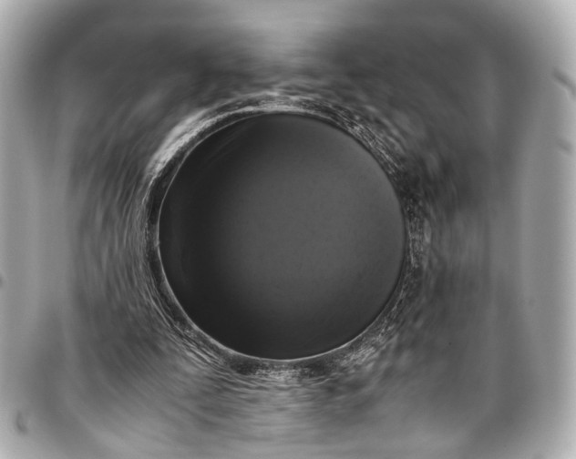 X0000097000295200802221527