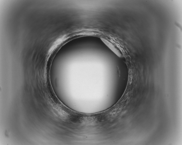 X0000097000296200802221527