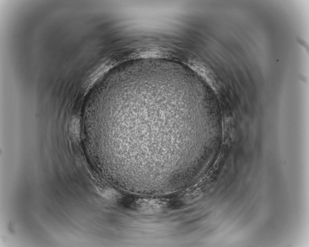 X0000097000297200802221527