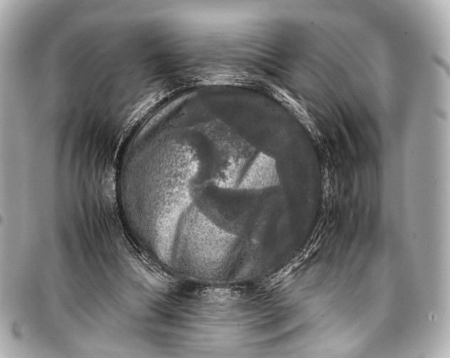 X0000097000298200802221527