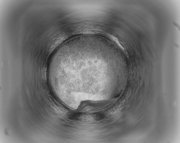 X0000097000299200802221527