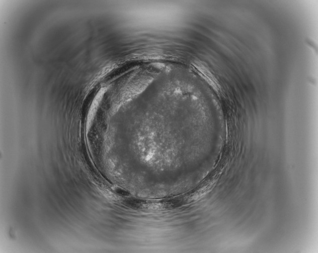 X0000097000301200802221527