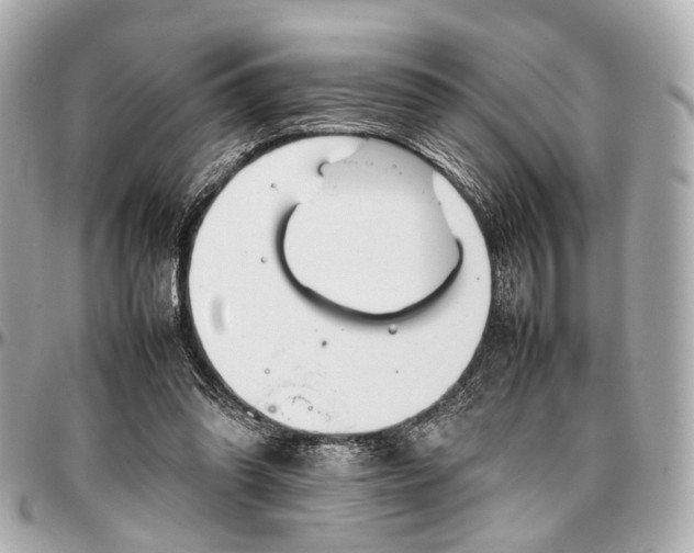 X0000097000302200802221527