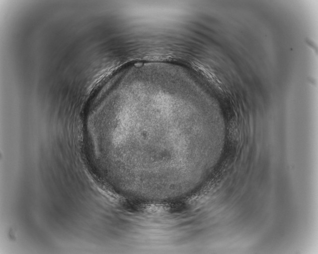 X0000097000303200802221527