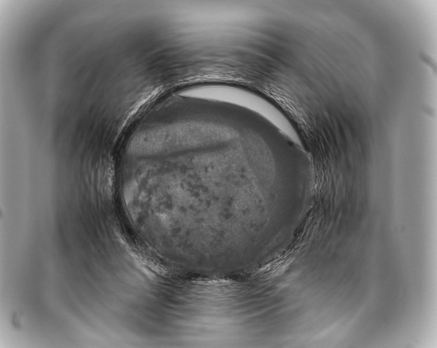 X0000097000304200802221527