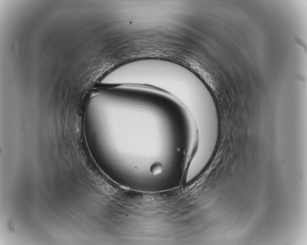 X0000097000305200802221527